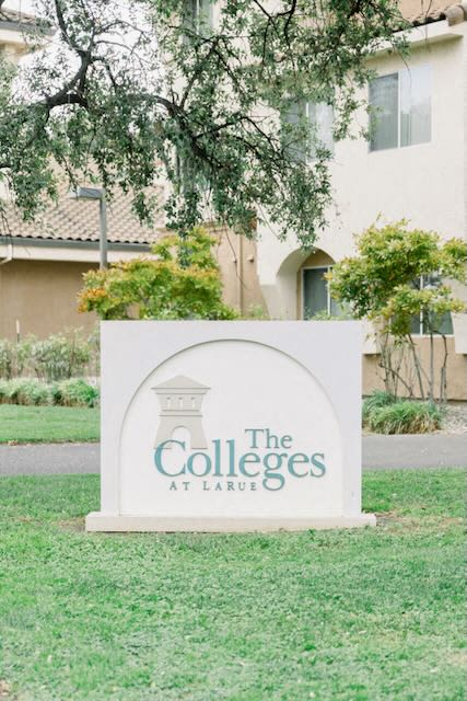 A sign under a tree with the logo for The Colleges at La Rue.